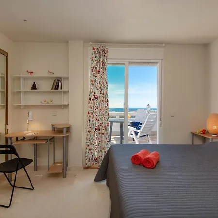 公寓 Alamos Penthouse 托雷莫利诺斯
